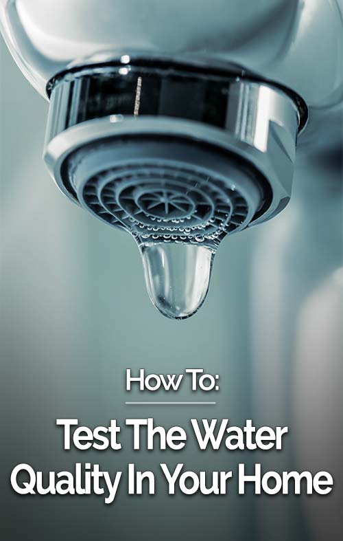 How to Test Water Quality