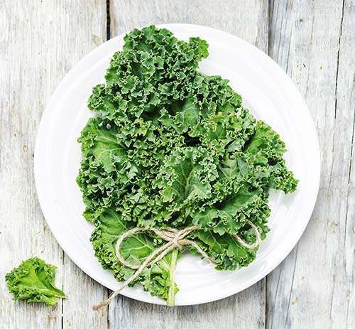 Plate of Kale