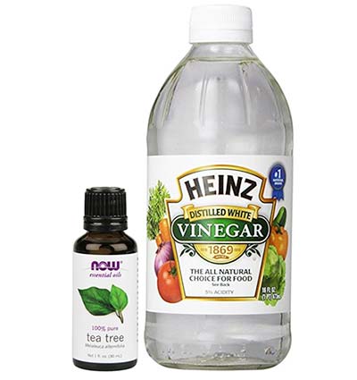 Vinegar & Tea Tree Oil