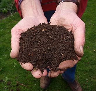 Compost Soil